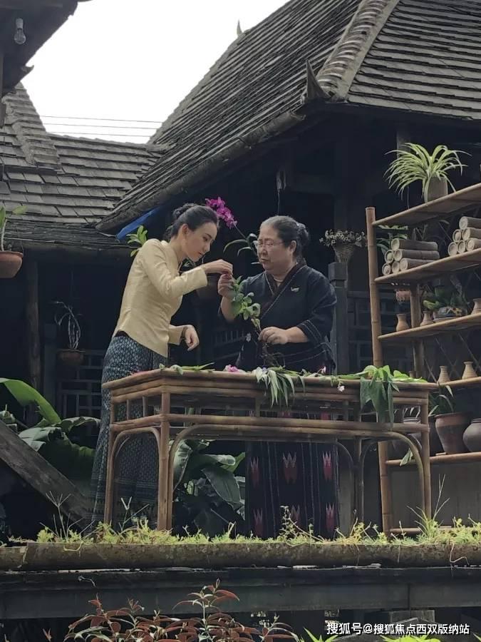 三小只僵尸的游戏时间4